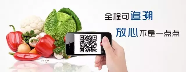 互聯(lián)網(wǎng)賦能永州食品農(nóng)產(chǎn)品出口 近四年年均增長(zhǎng)61.8%的數(shù)字化突圍之路