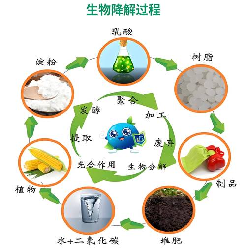 生物基材料&ne;生物降解材料:深入剖析兩大環保材料的本質差異與關聯